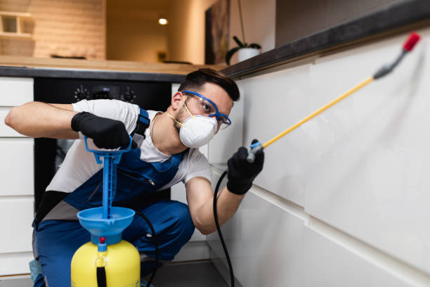Best Mosquito Control Services  in Copeland, OK