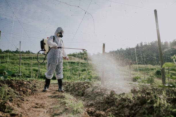 Best Commercial Pest Control Services  in Copeland, OK