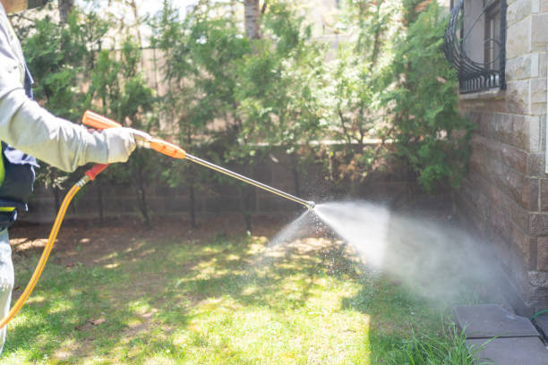 Trusted Copeland, OK Pest Control Experts