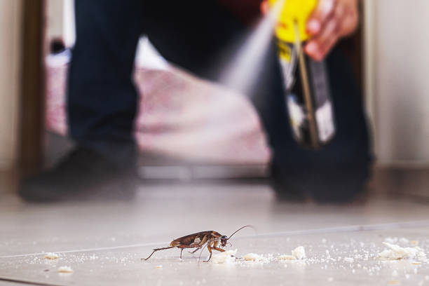 Wildlife Control Services in Copeland, OK