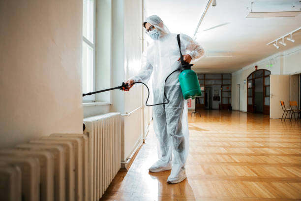 Best Flea Control Services  in Copeland, OK