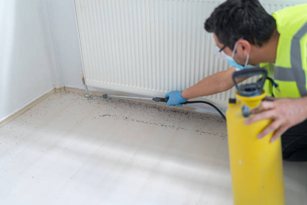 Best Cockroach Control Services  in Copeland, OK