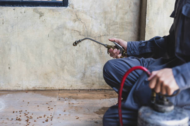 Best Pest Control for Businesses  in Copeland, OK